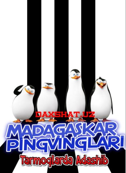 Madagaskar Pingvinglari: Tarmoqlarda Adashib Multfilm O'zbek tilida Tarjima multfilm HD